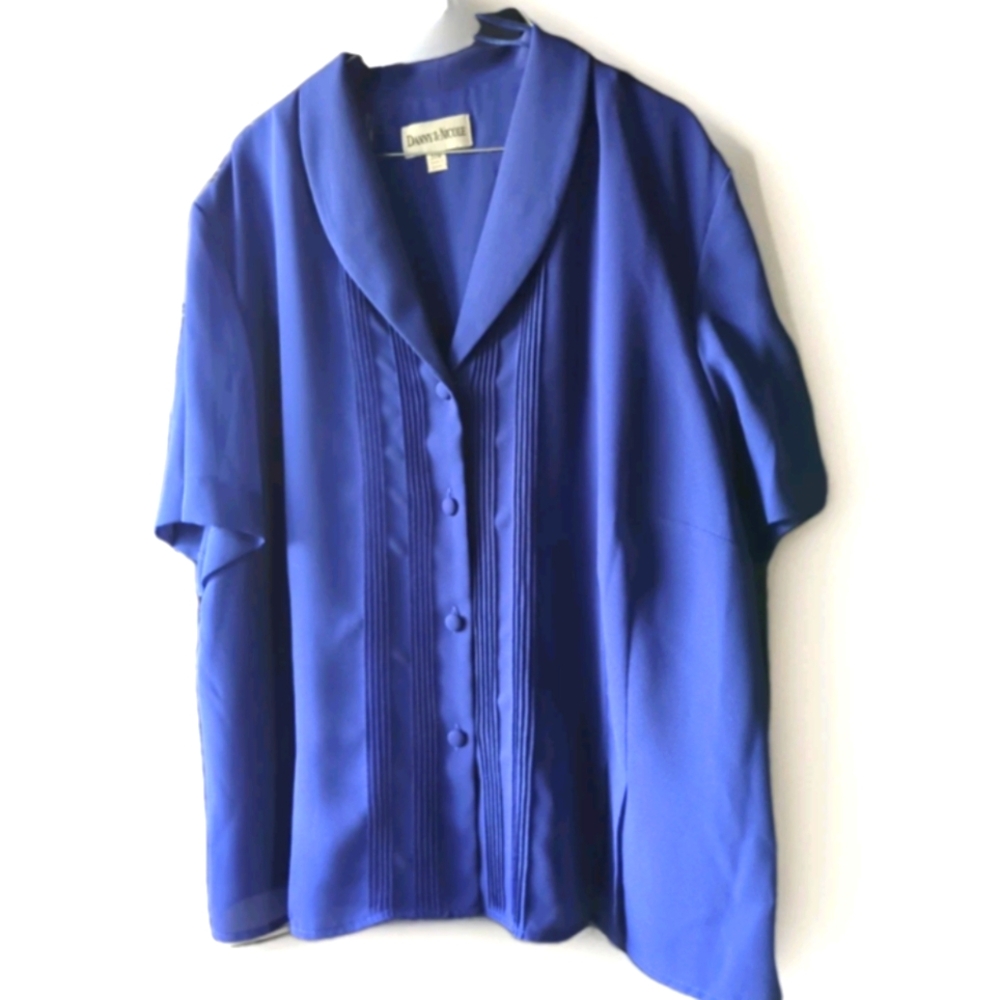 Danny & Nicole Women Festive Sheer Blouse Fully Lined Fitted Short sleeves  24W